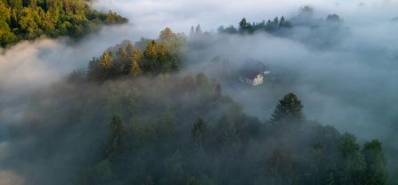 Bergige Landschaft mit Wald, einigen Häusern und dichtem Nebel