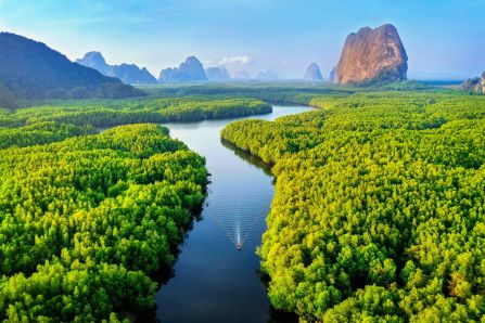 EUDR: Die EU-Verordnung für entwaldungsfreie Produkte – neue Entwicklungen im Koalitionsvertrag Vogelperspektive auf einen Fluss mit einem kleinen Boot, drum herum Waldlandschaft. Im Hintergrund sieht man Gebirge und Felsen.